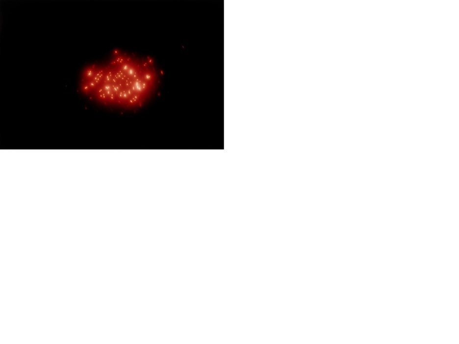 小見出しが入ります