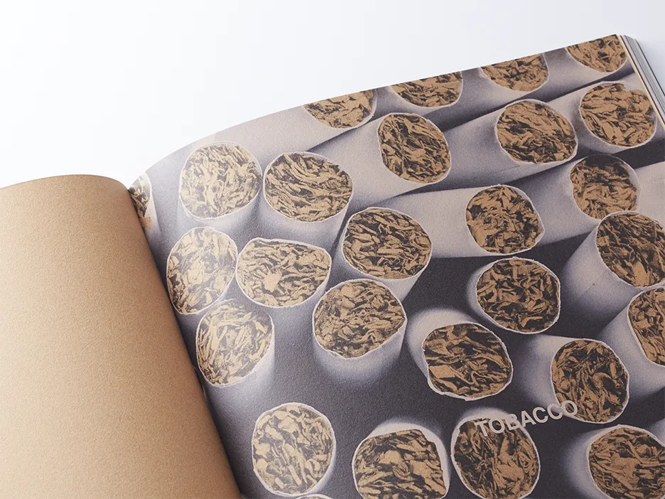 3100000_A-1_nt-rasha_v12 _4-3..webp