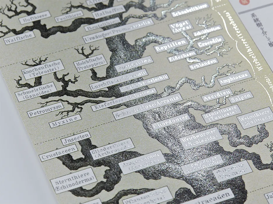 3440500_H-1-2_mta -fs_v5_4-3.webp