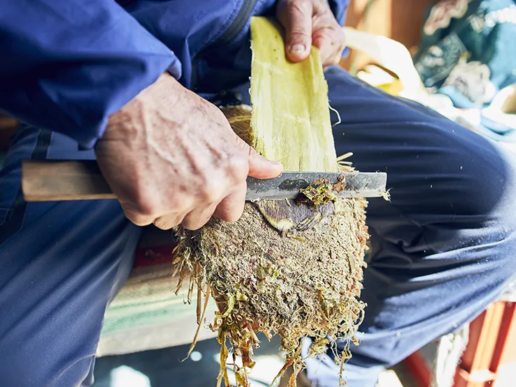 大子那須楮<span style="font-size: 0.75rem">（だいごなすこうぞ）</span>
表皮取り