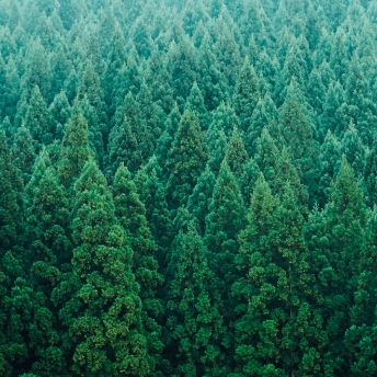 環境に配慮した紙と環境ラベル