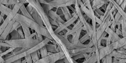 叩解前のパルプ