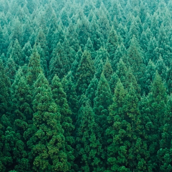 環境に配慮した紙と環境ラベル
