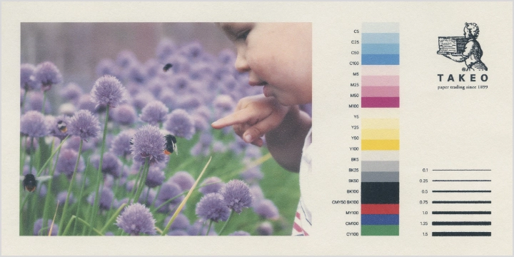 インクジェットプリンタでの出力