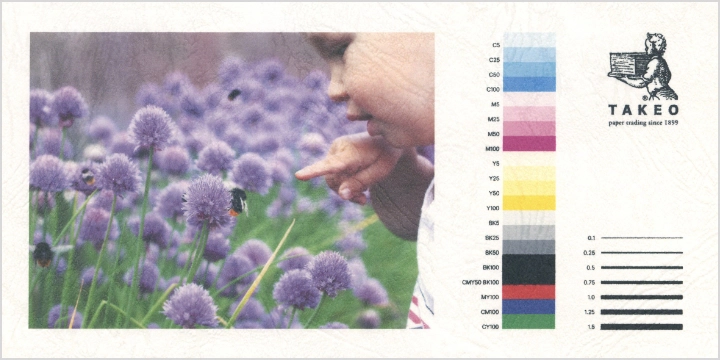 インクジェットプリンタでの出力