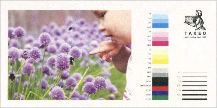 レーザープリンタでの出力