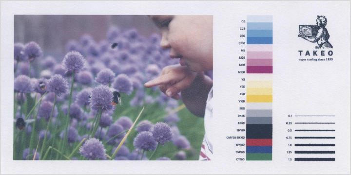 インクジェットプリンタでの出力