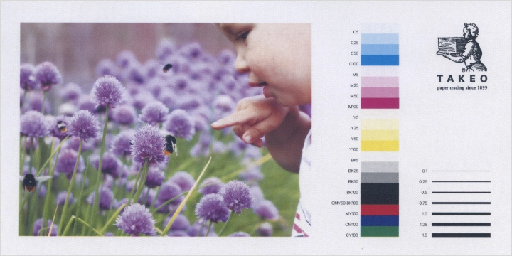 レーザープリンタでの出力