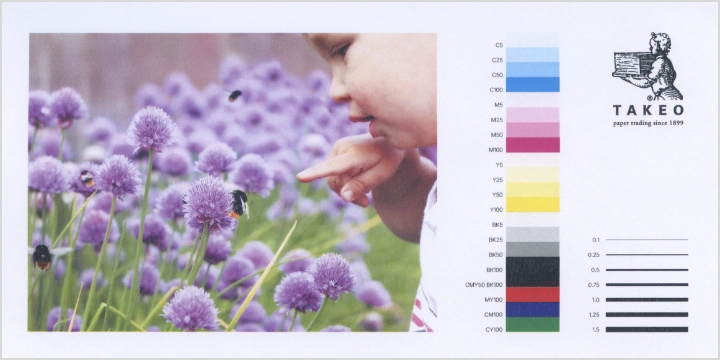 レーザープリンタでの出力