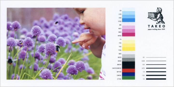 レーザープリンタでの出力