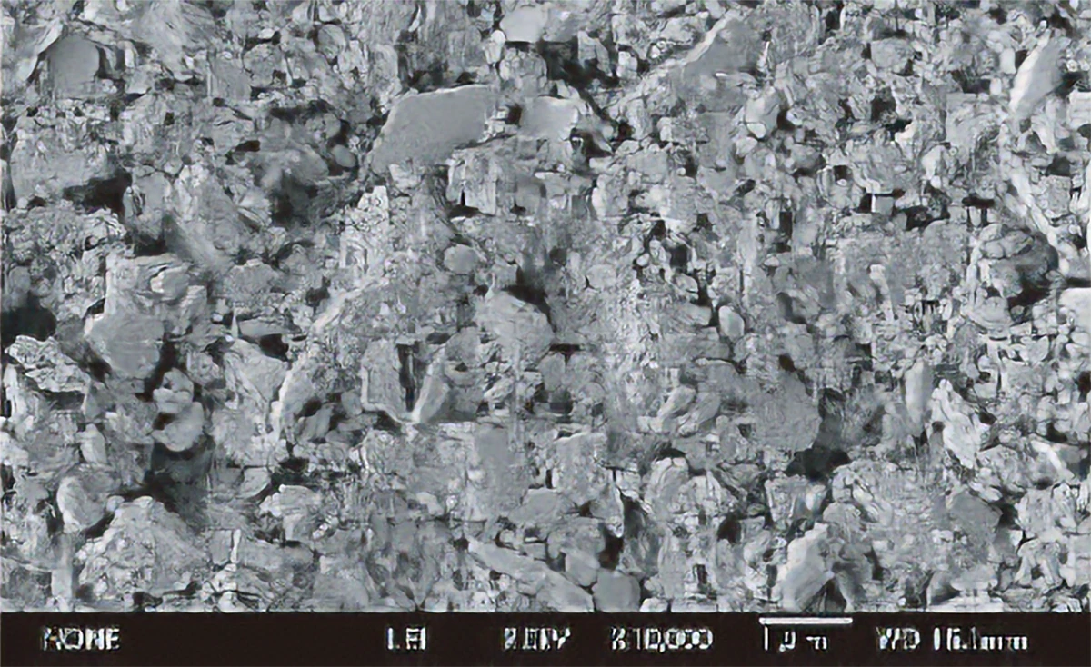 マットコート紙Aの電子顕微鏡写真